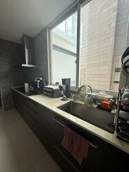 Scotts Highpark (D9), Condominium #499322831